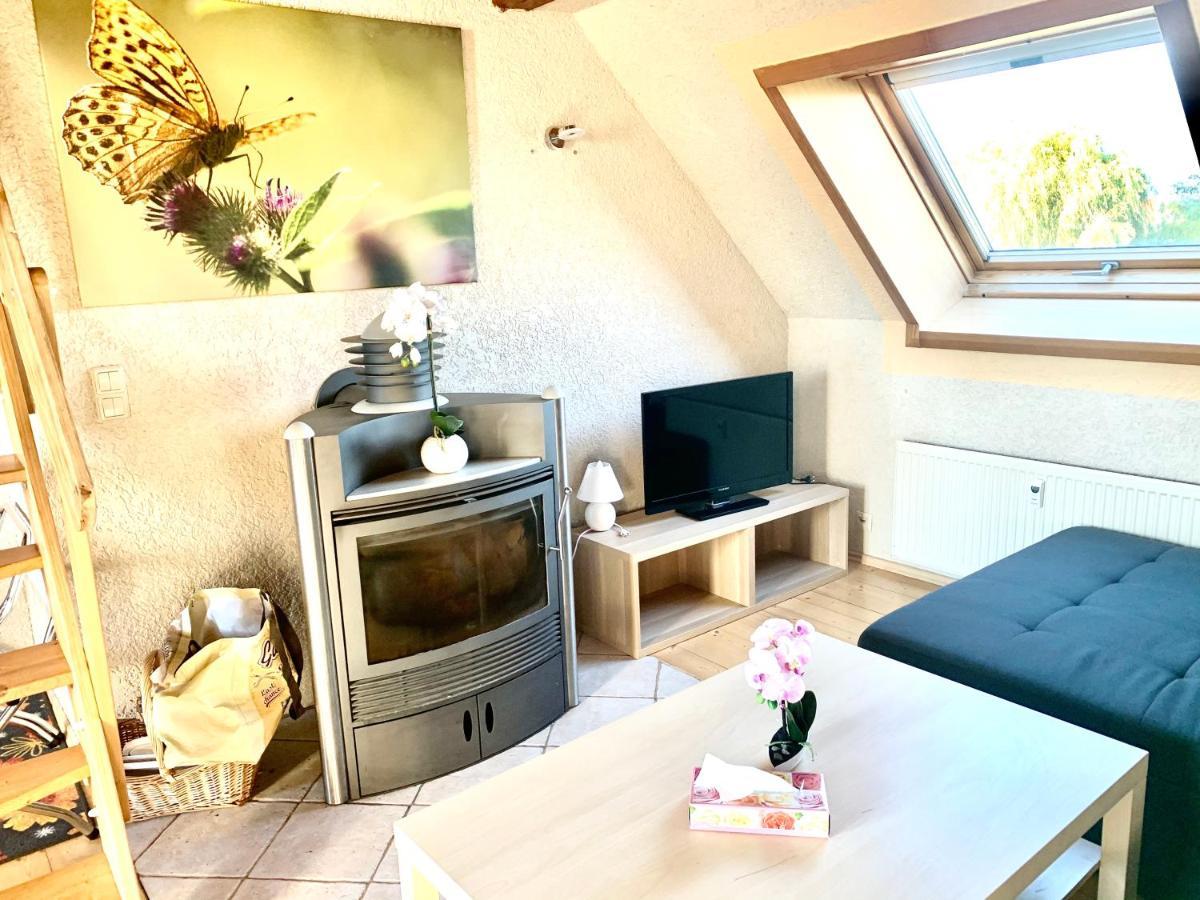 #World Ferienwohnung Шкойдиц Екстериор снимка